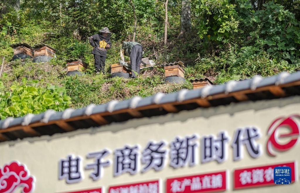 云顶娱乐